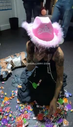 watermark_85700_notsickof3xxx_858314.webp