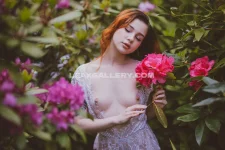 watermark_3e2419ec98d244449518e2a243f28f1f_scottstarkx_88601469541.webp
