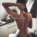 watermark_84df3628eaf44c72a58c33ebe443bb4b_sweetveki_10102741906.webp
