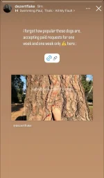 watermark_8ab4fd22991d4e83bd0b55ae0cdcc04b_hf33t_52240347319.webp