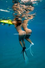 watermark_62274_beachbby_58476831064.webp