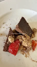 watermark_54d5fa33d959460cbf04bf1c5ee102a3_saterra_lynn_8772317042.webp