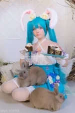 watermark_e5c82b1fc64f41c68d9b4ea896aa3b50_saya_scarlet_56141231162.webp