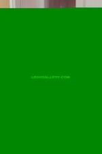 watermark_ec4a162dc03547df800b3352a5cb85be_elizabethrabbit_87898760995.webp